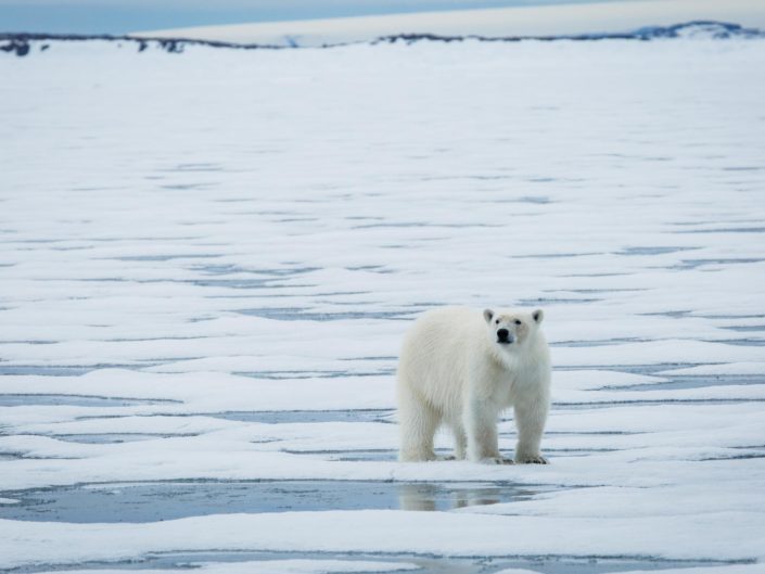 Svalbard