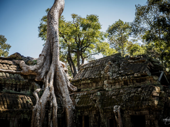 Cambodge