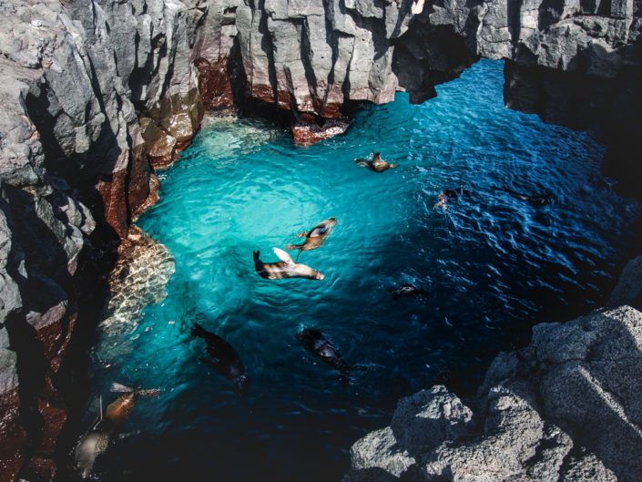 grotte otarie